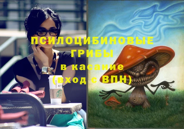 трава Новозыбков