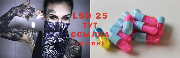 трава Новозыбков