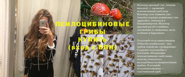 мяу мяу мука Новокубанск