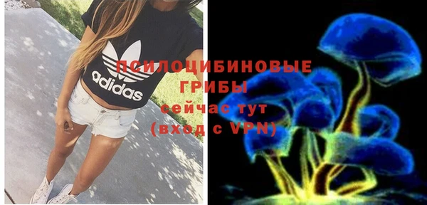 экстази Гатчина